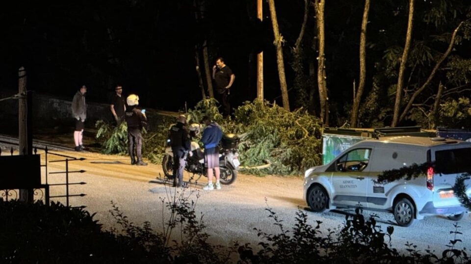 Frontzos Koph dentrwn 1