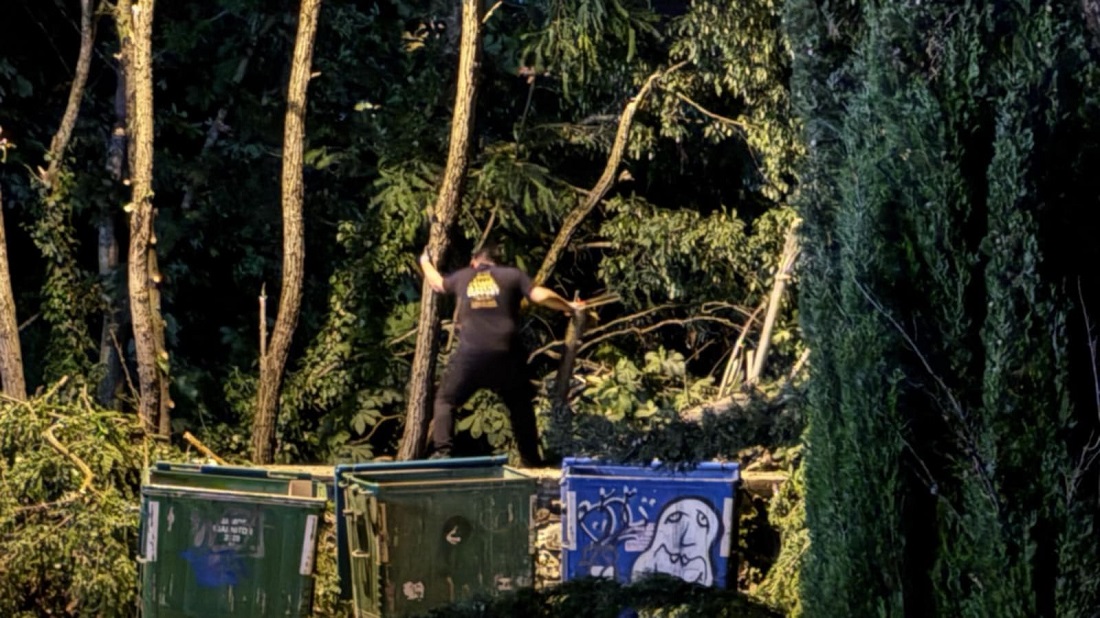 Frontzos Koph dentrwn 2