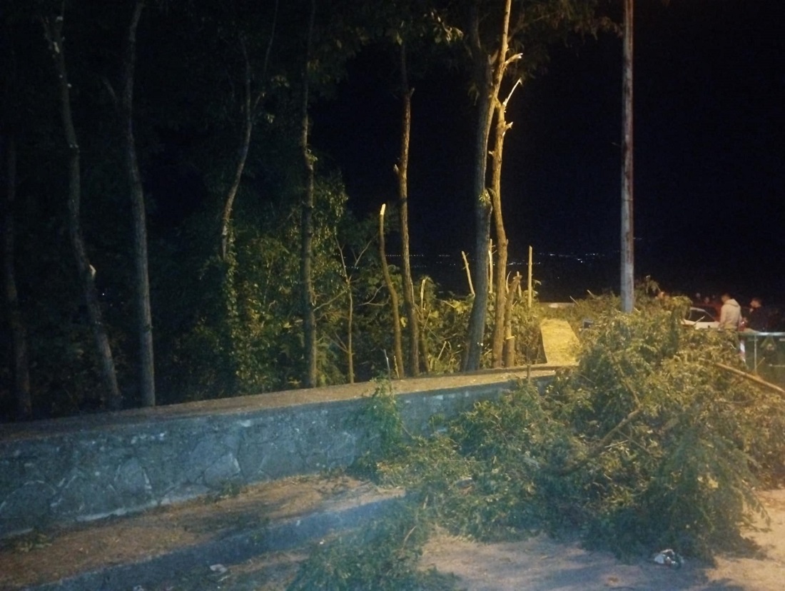 Frontzos Koph dentrwn 4