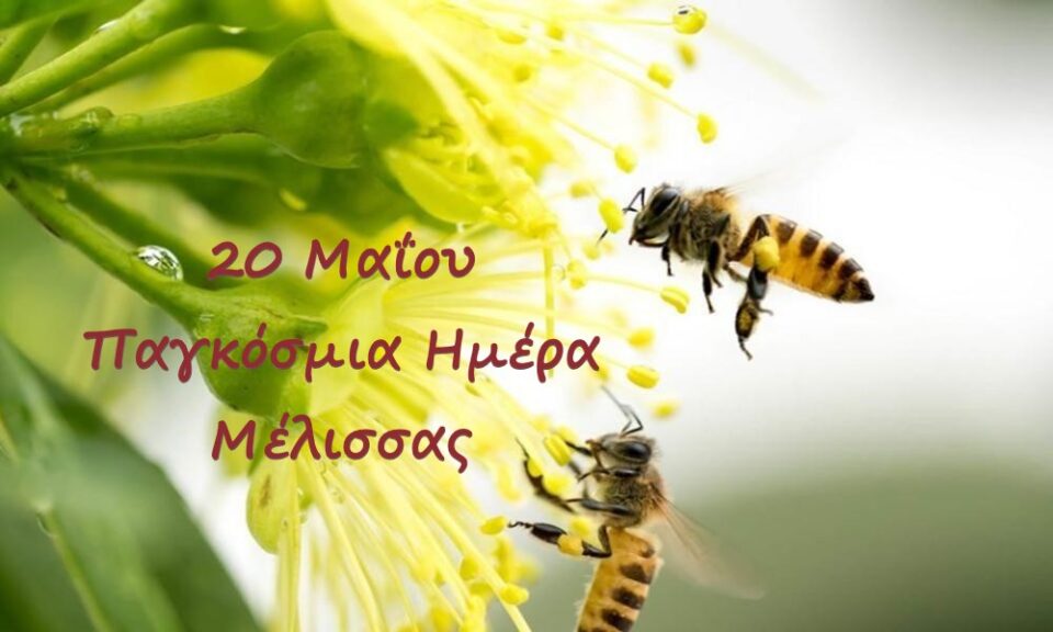 pagkosmia hmera melissas