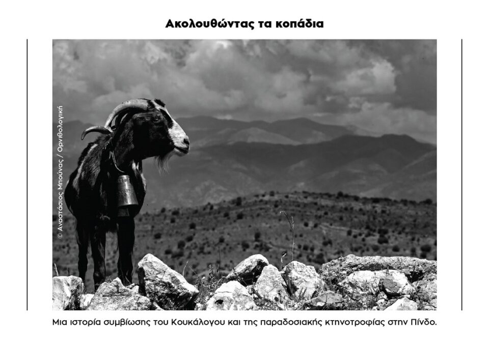 Akolouthontas ta kopadia 1