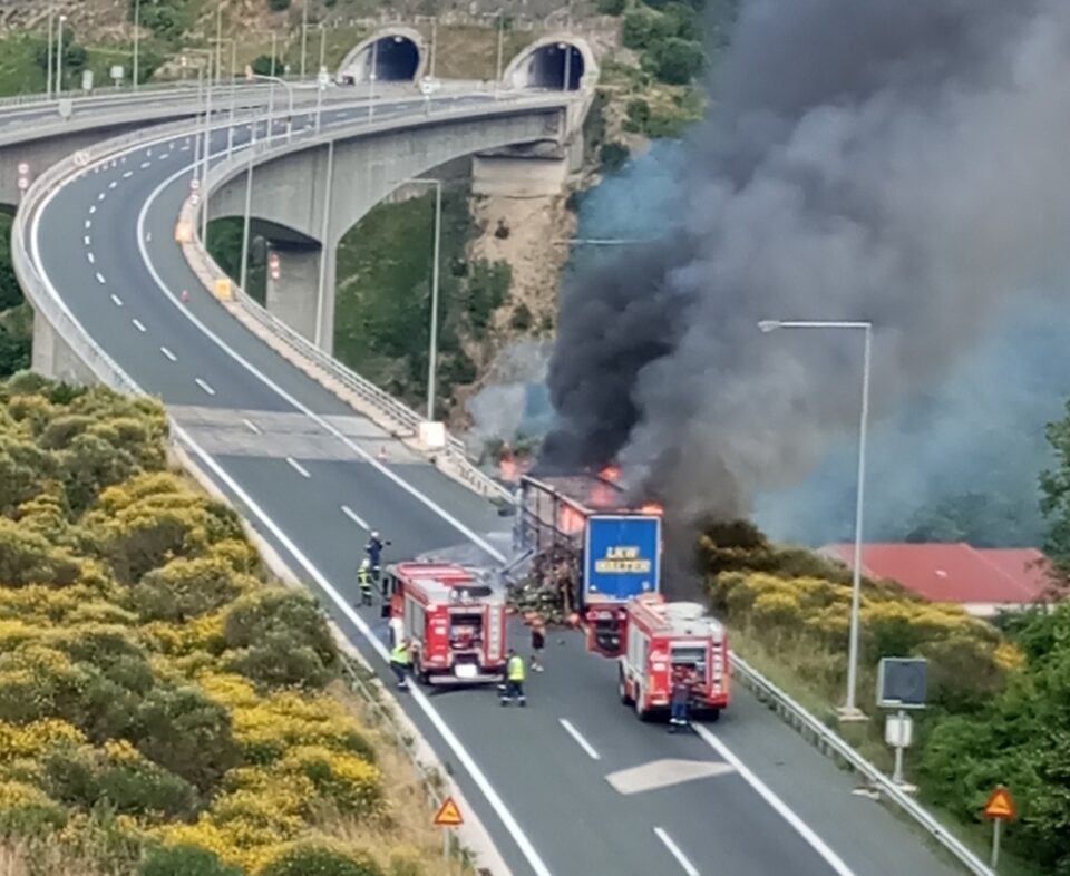 Fwria ntalika karpouzia