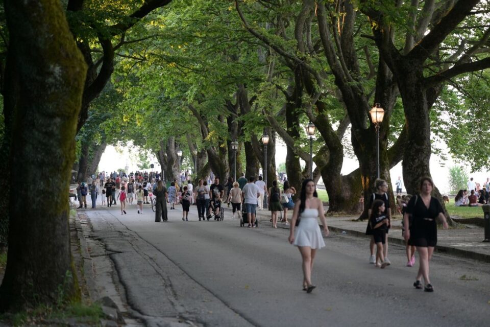 Paralimnio Pik Nik 2025 1