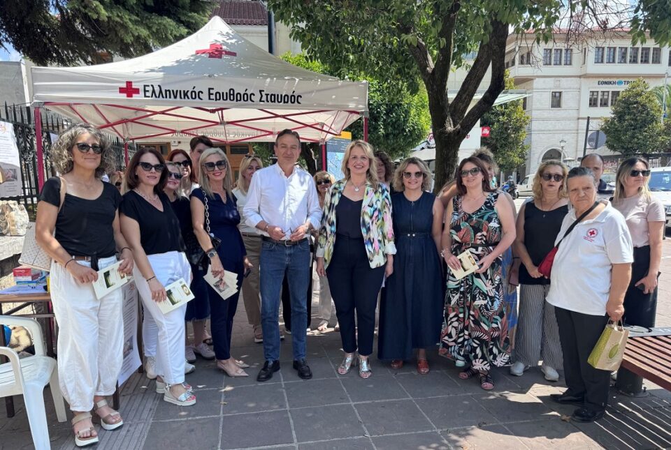 Voithia sto spiti drasi