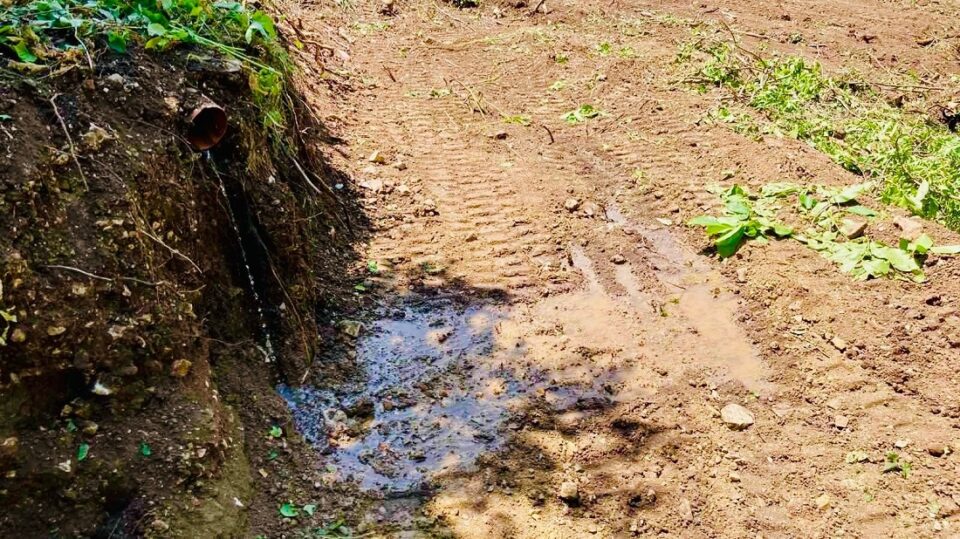 agwgos Mikro Papigko