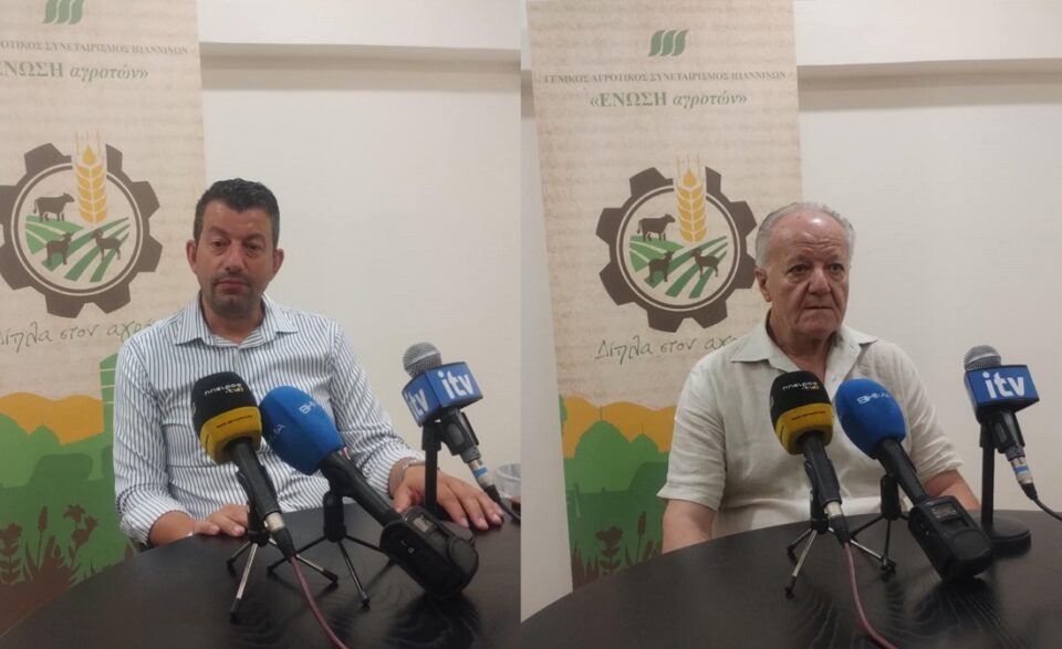 Liouris Tasioulas St