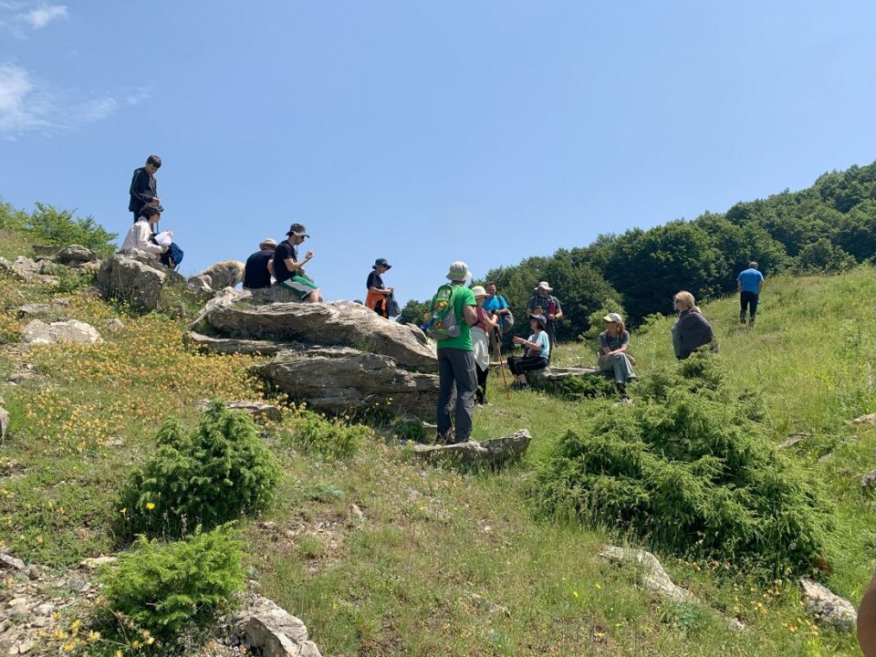 Pezoporia Plaka Metsovo