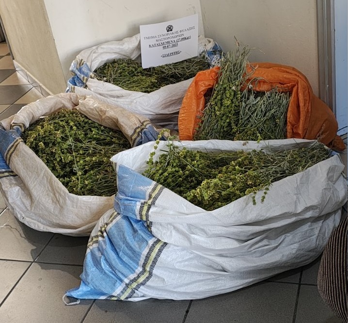 tsai grammos Alvanos