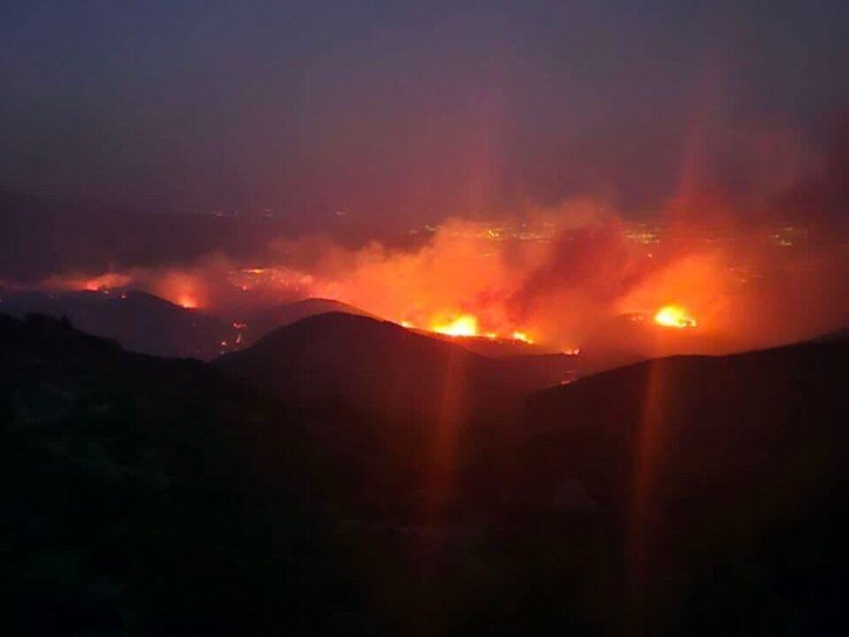 pyrkagia limni zirou