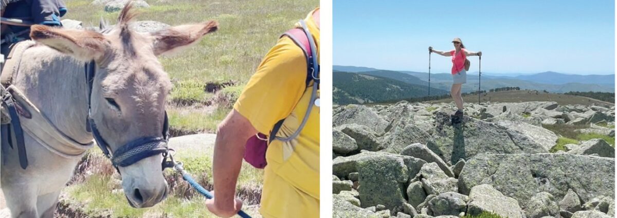 1898: Ο Γιαννιώτης και το Γαϊδουράκι στη νότια Γαλλία 55 donkey 1 2 Custom scaled