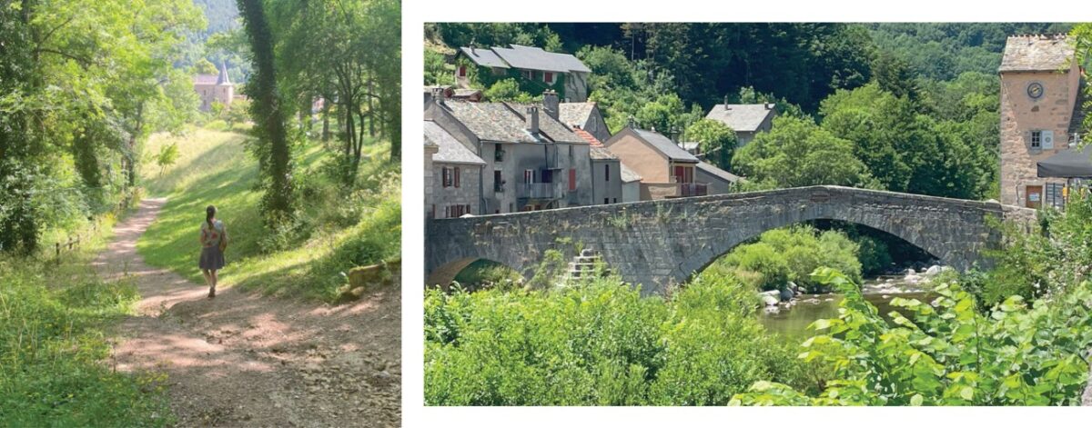 1898: Ο Γιαννιώτης και το Γαϊδουράκι στη νότια Γαλλία 56 donkey 3 4 Custom scaled