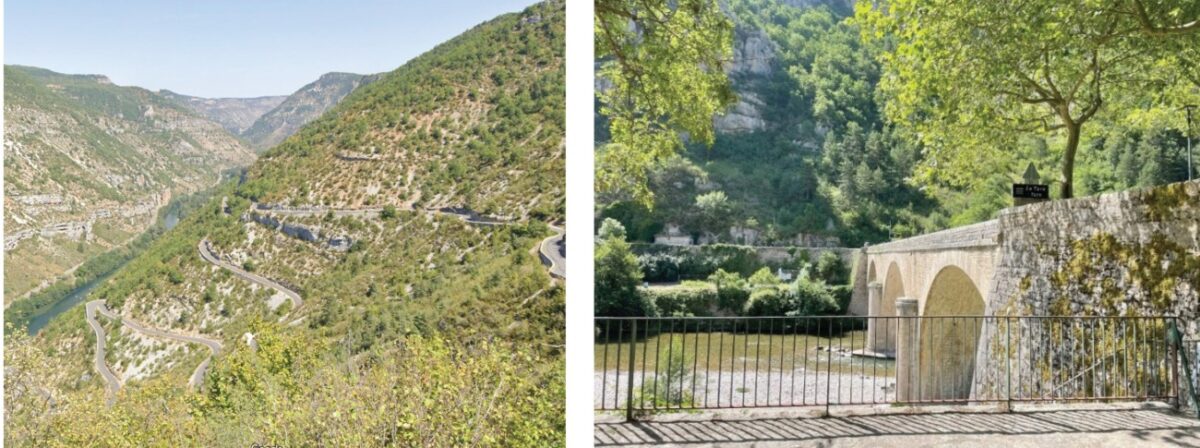 1898: Ο Γιαννιώτης και το Γαϊδουράκι στη νότια Γαλλία 57 donkey diples site 5 6 Custom scaled