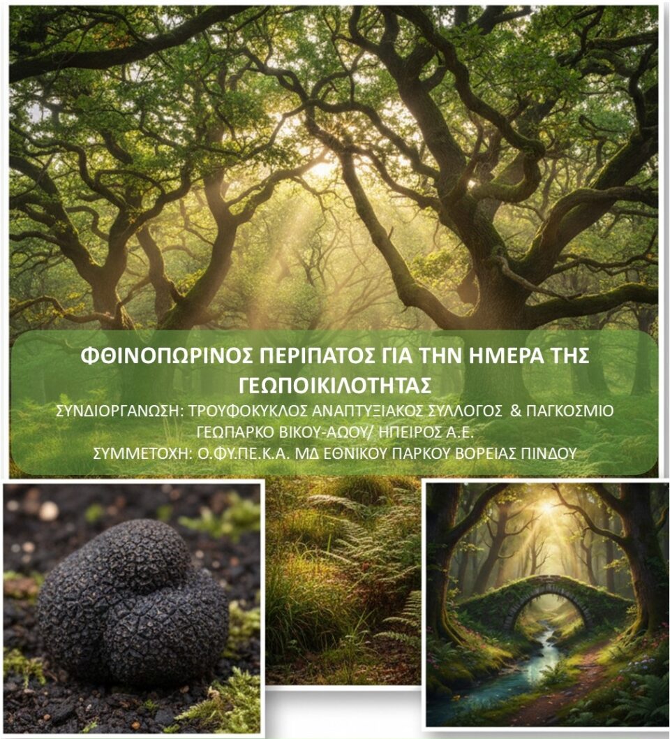 Doliani peripatos afisa