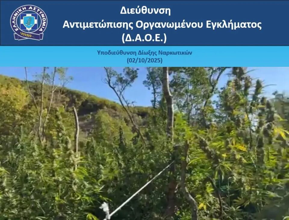 Fyteia Kannavi Agia Marina