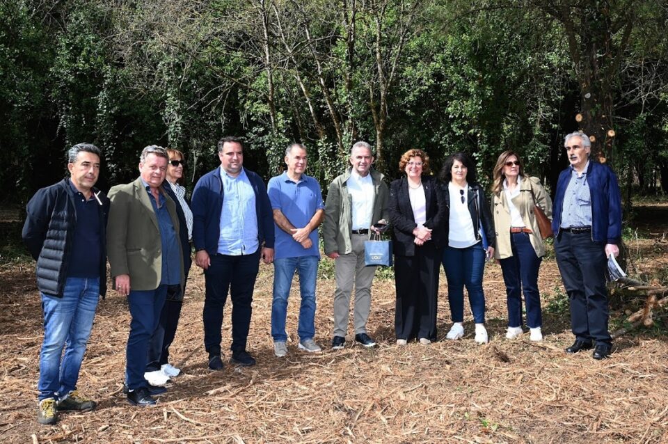 Panepistimiako Dasos Mpatistatou