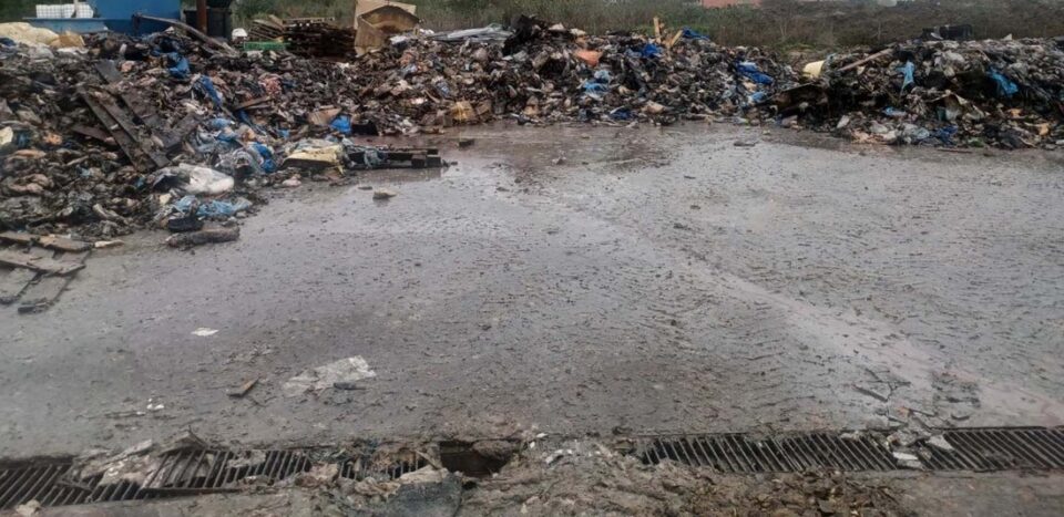 rypansi zwika apovlita 1