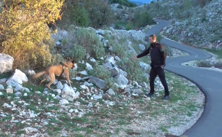 erevna foles Xirovouni