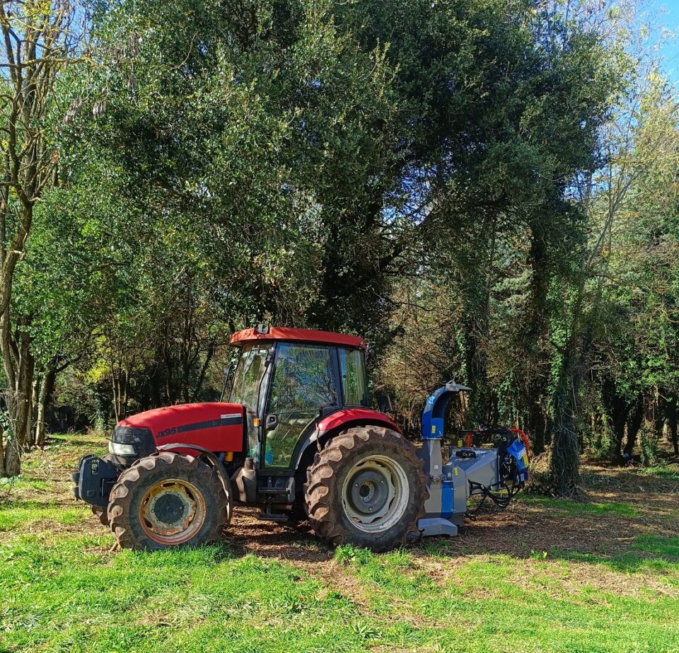 paremvaseis Antinero dasosdourouytis 1