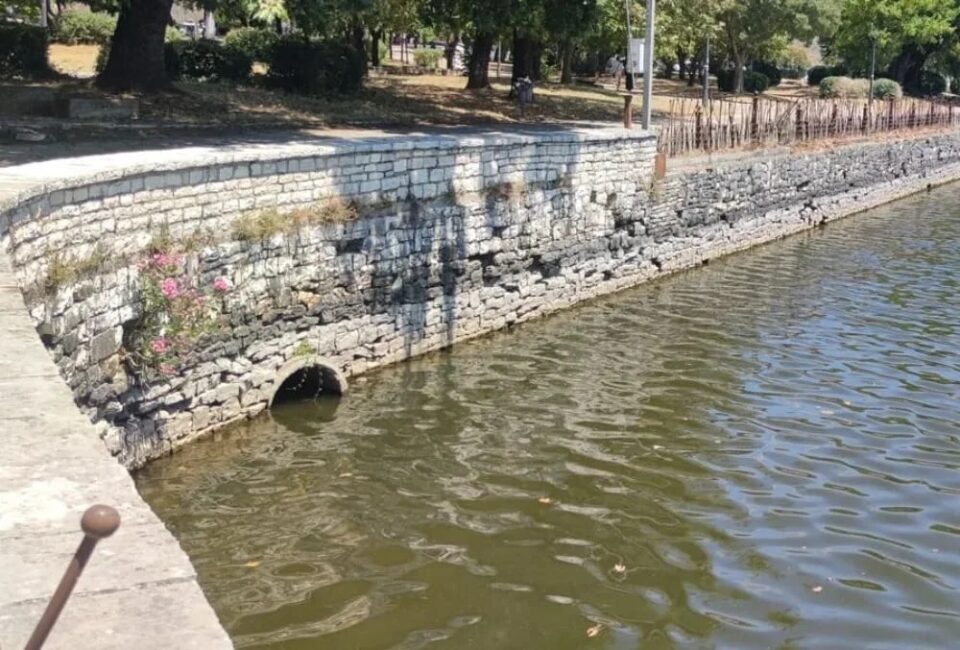 spilaiwseis kripidotoixos