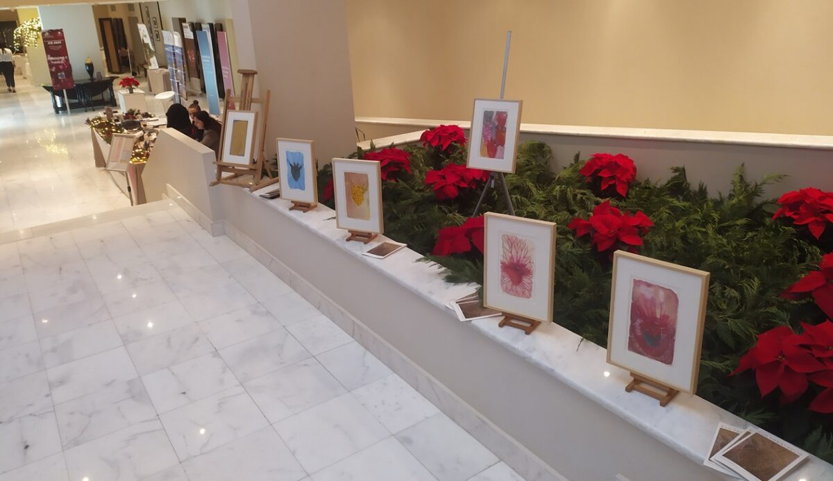 ice 2025 eikastika scaled