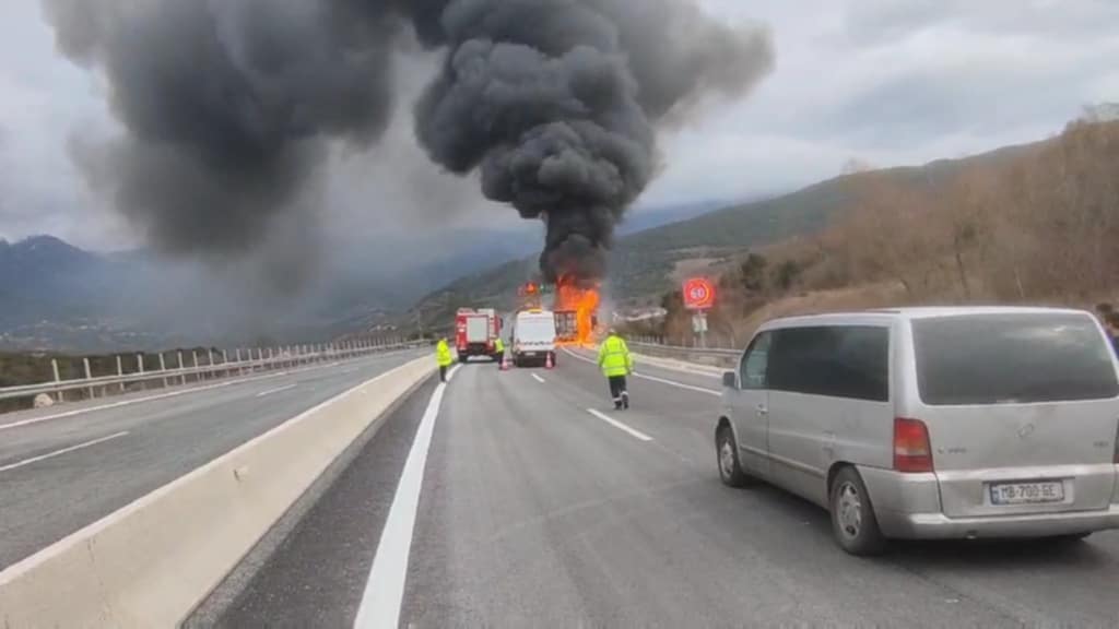 Fwtia forthgo plastika 2