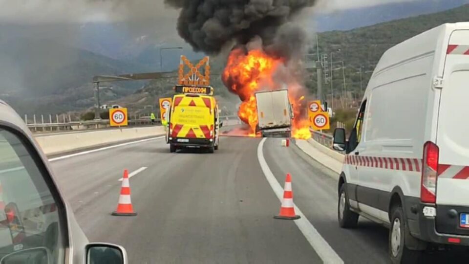 Fwtia forthgo plastika 3