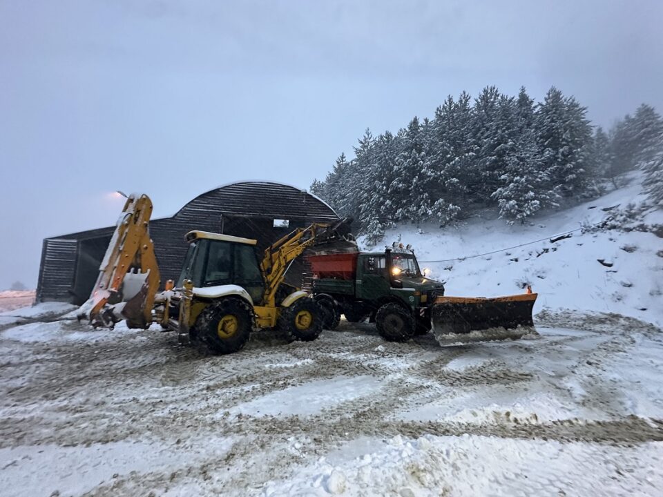 Metsovo apoxionismos