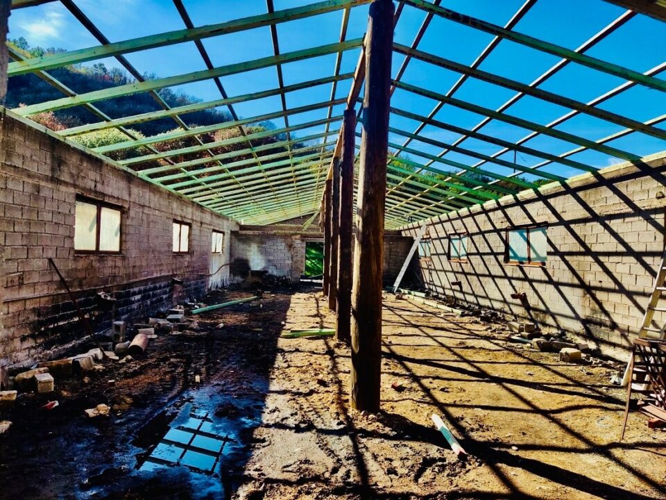 stavlikes apokatastasi