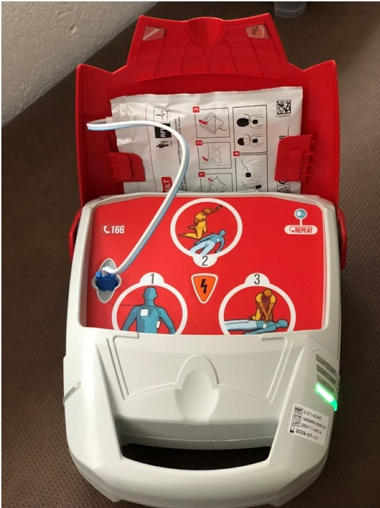 apinidwtis Repetisti