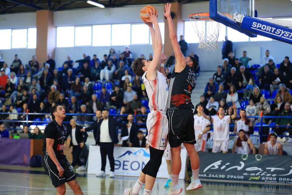 Sofades Vikos Falcons