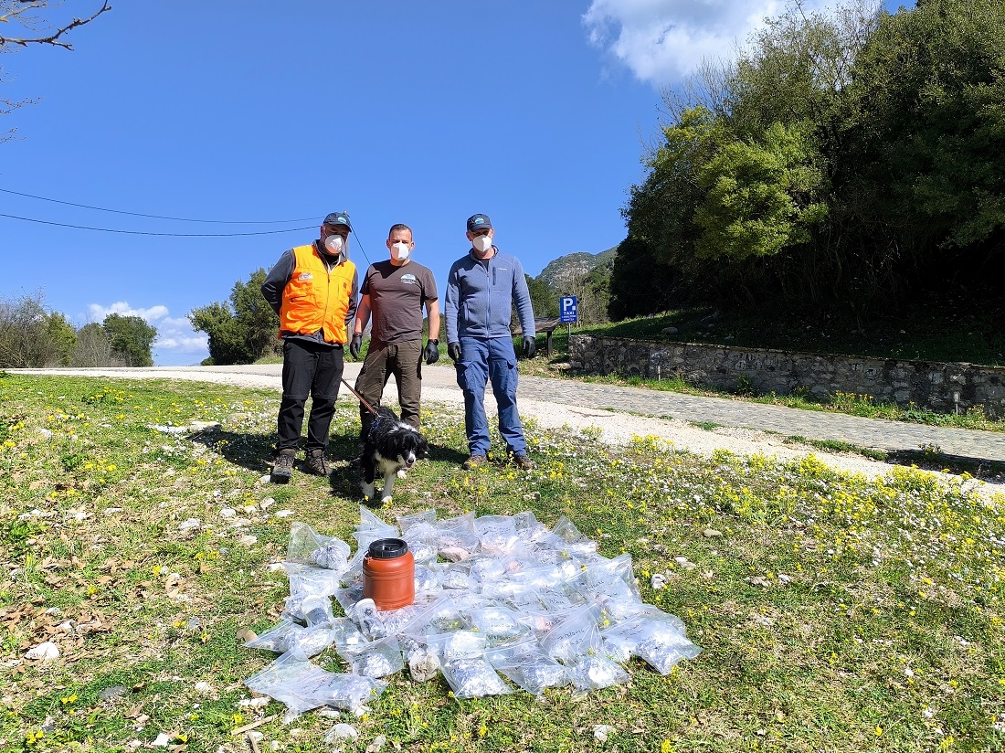 dilitiriasmena dolwmata Grammos 2