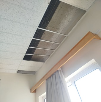 psevdorofi Paidagwgiko