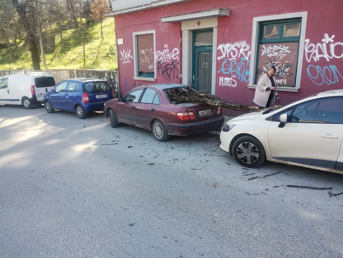 ptwsi kladi Dimarxeio 3