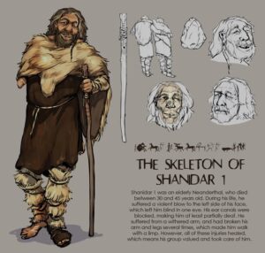 Shanidar 1 grafistiko