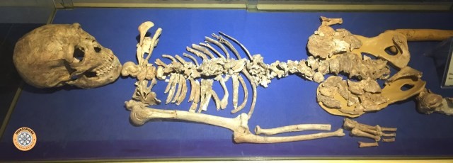 Shanidar 1 skeletos