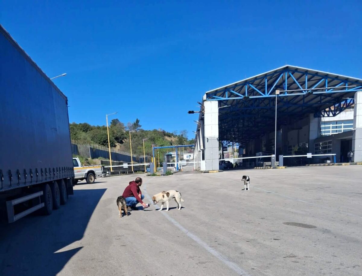 adespota dimos pwgwniou scaled