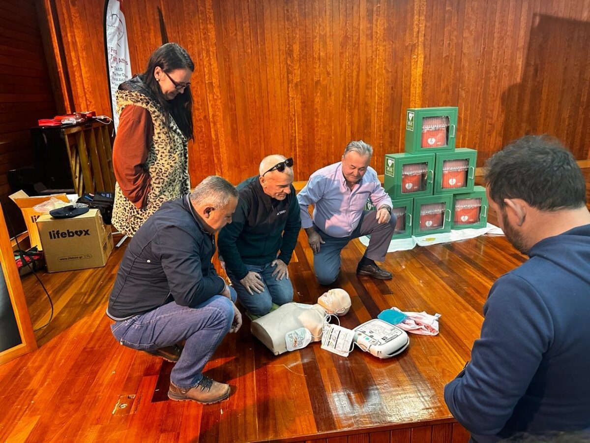 apinidotes dimos metsovou scaled