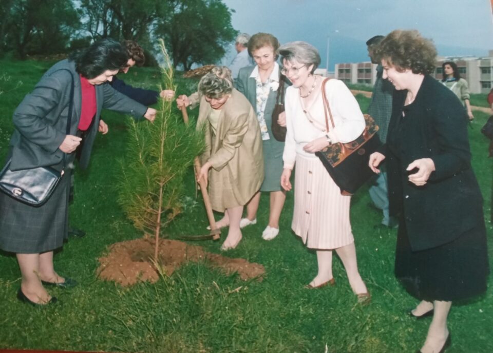 inner wheel iwanninwn dentra