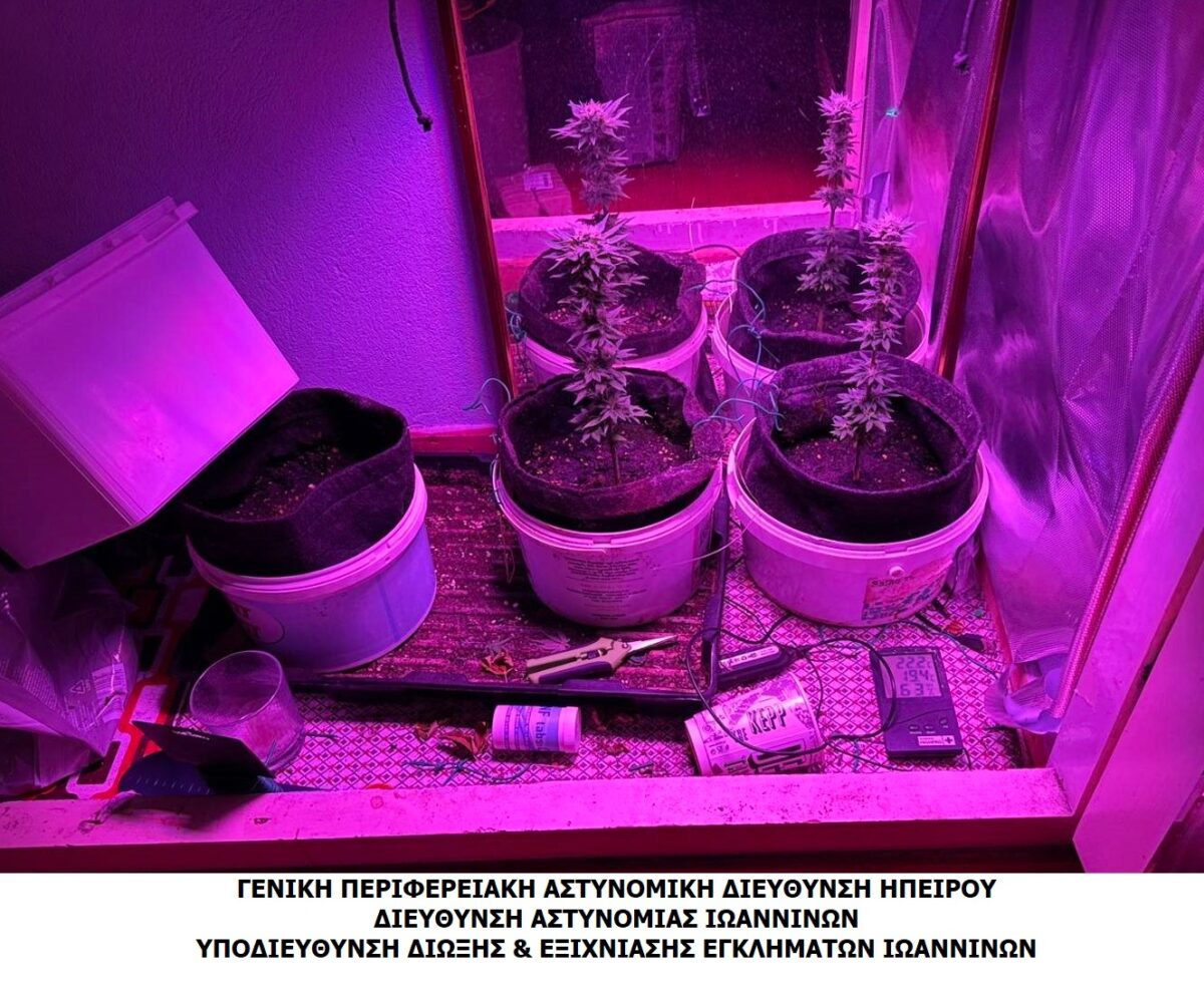 kannavi 240426 scaled