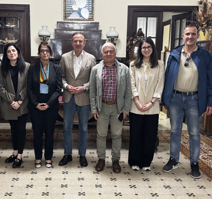 oosa dimos iwannitwn Custom