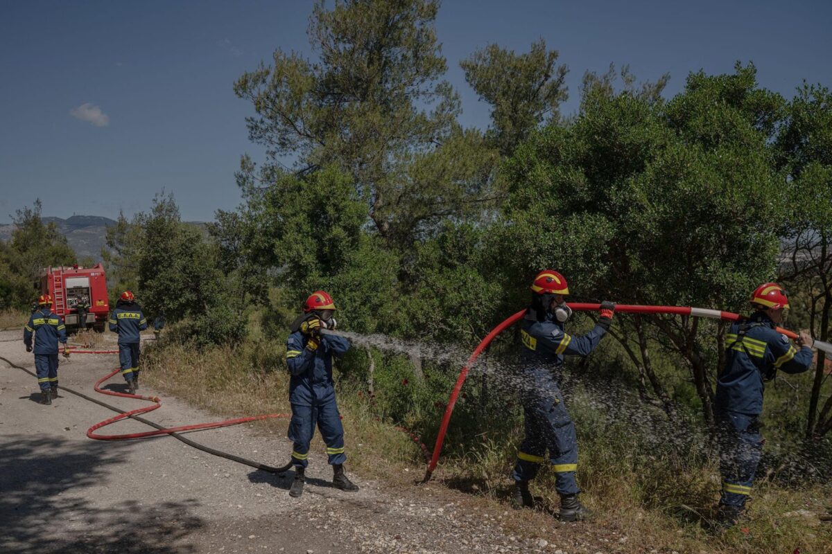 pyroprostasia scaled