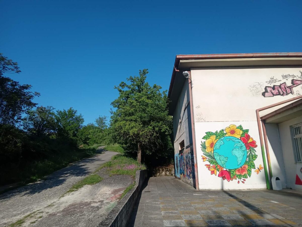 stefani 8o gimnasio scaled