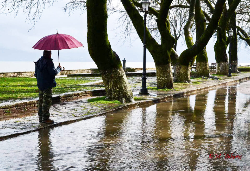 vroxi Giannena omprela