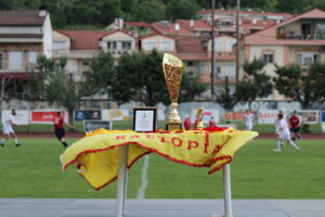 Kastoria anodos