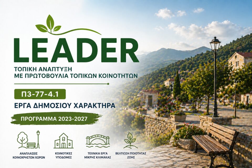 leader topiko programma paremvash Custom