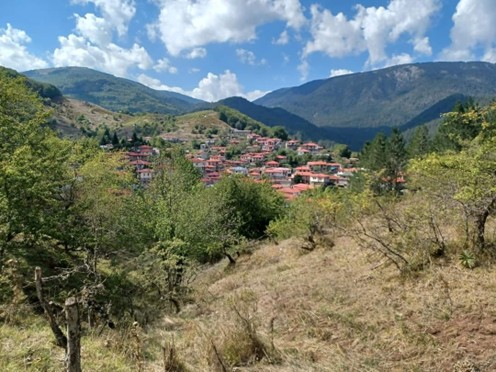 tsouka