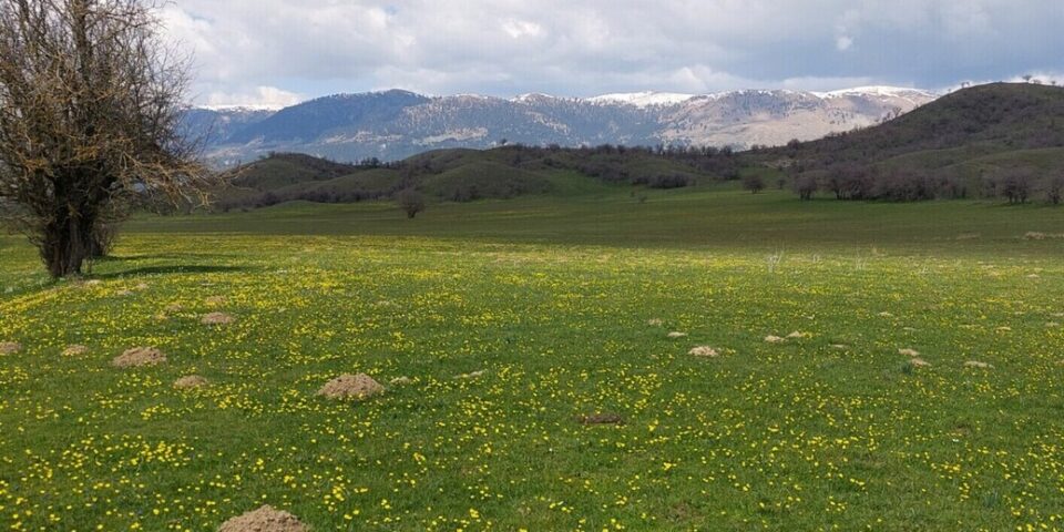 dhmos metsovou natura