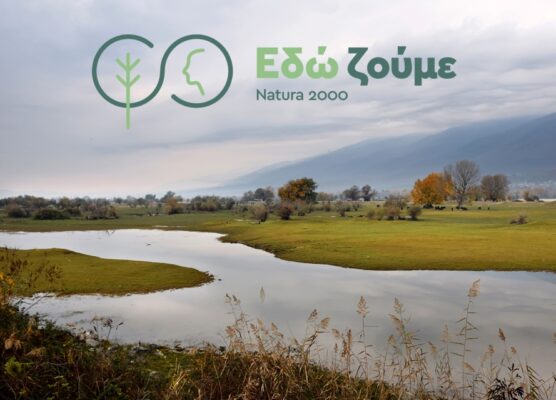 edw zoume natura 2000