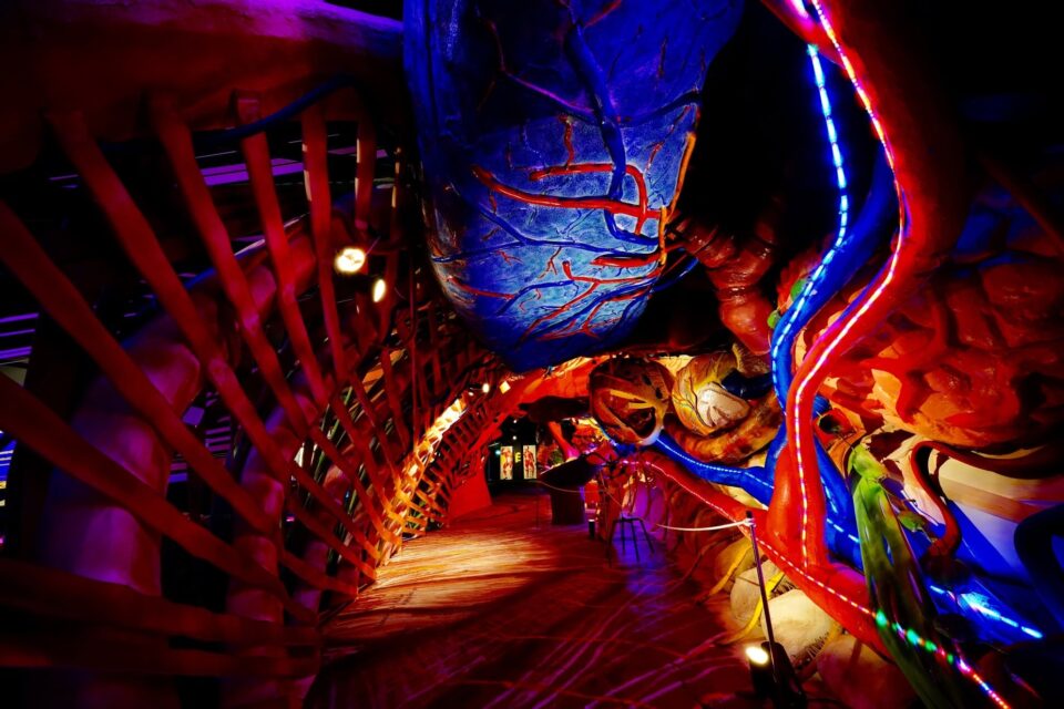 human body museum thessalonikh