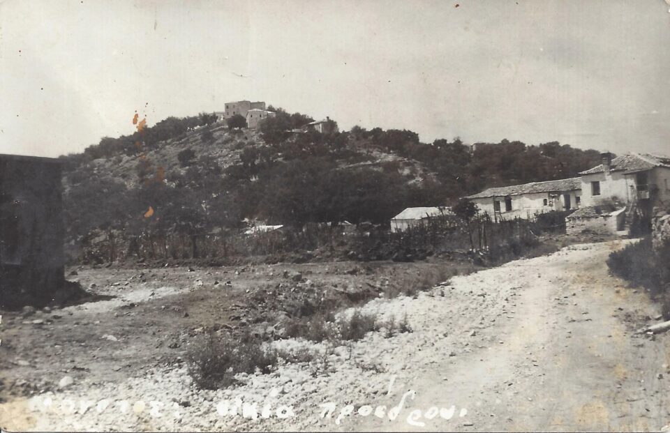 sivota palia